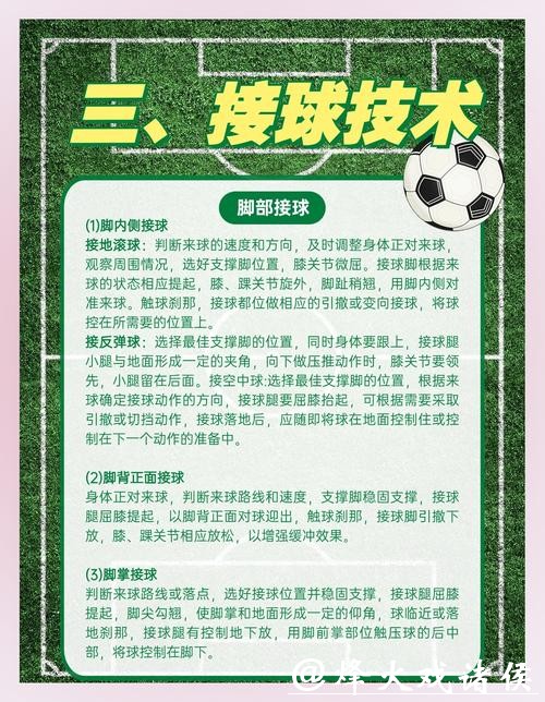 世界杯买球的法律风险与保障措施